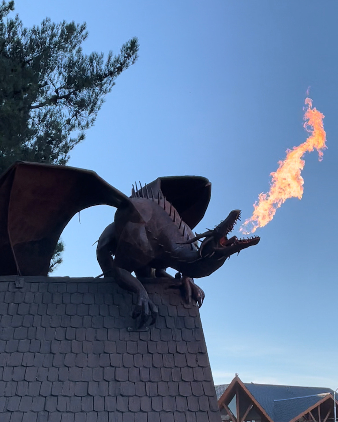 Flying Hammer Construction LLC